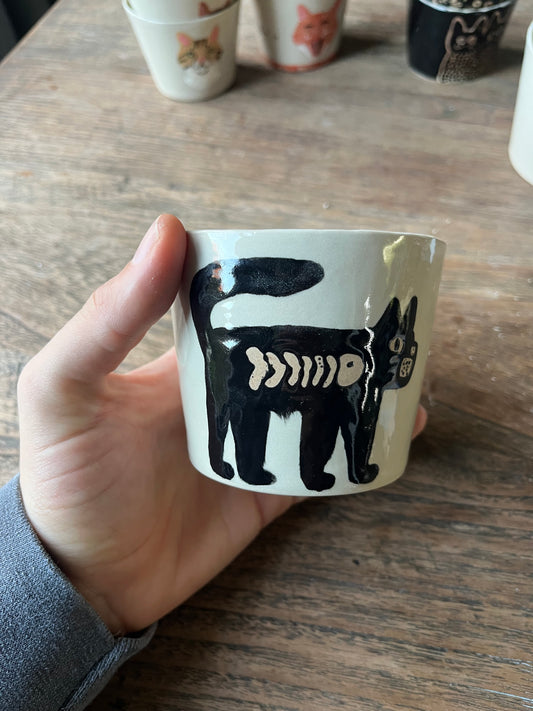 Kattenkopje kat met vis in buik #3